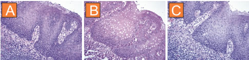 antigen-retriever-manual-10