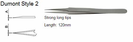 Dumont Tweezers Style 2, 0303-2-PO