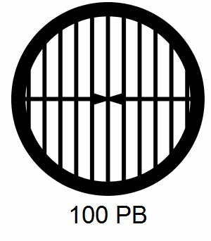 G100PB-G3, 100 mesh, parallel, Au, vial 50