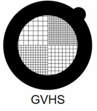 GVHS-G3, fine square mesh grids, Au, vial 50