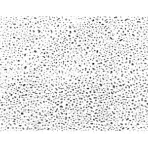 Evaporated platinum / iridium, 3.05mm grid