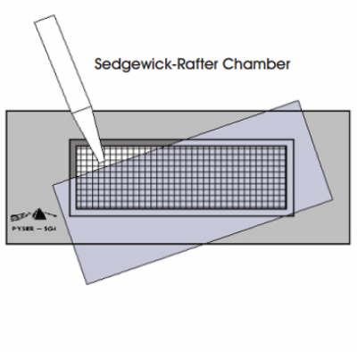 Sedgewick Rafter Counting Cell, Plastic